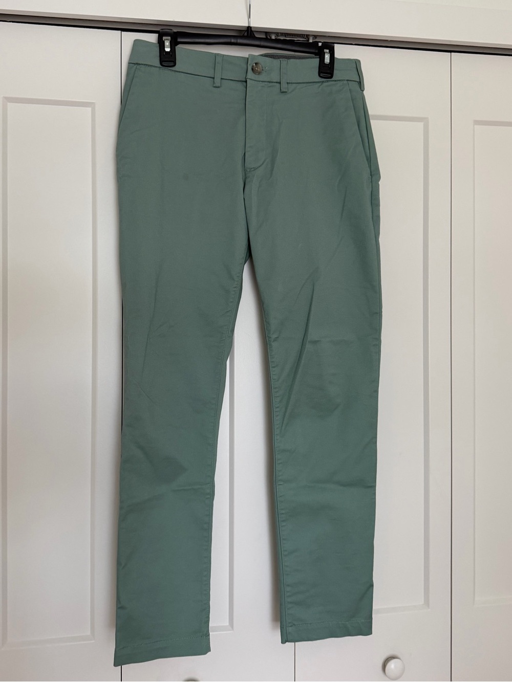 Express Men's Slim Chino Pants in Sage Green